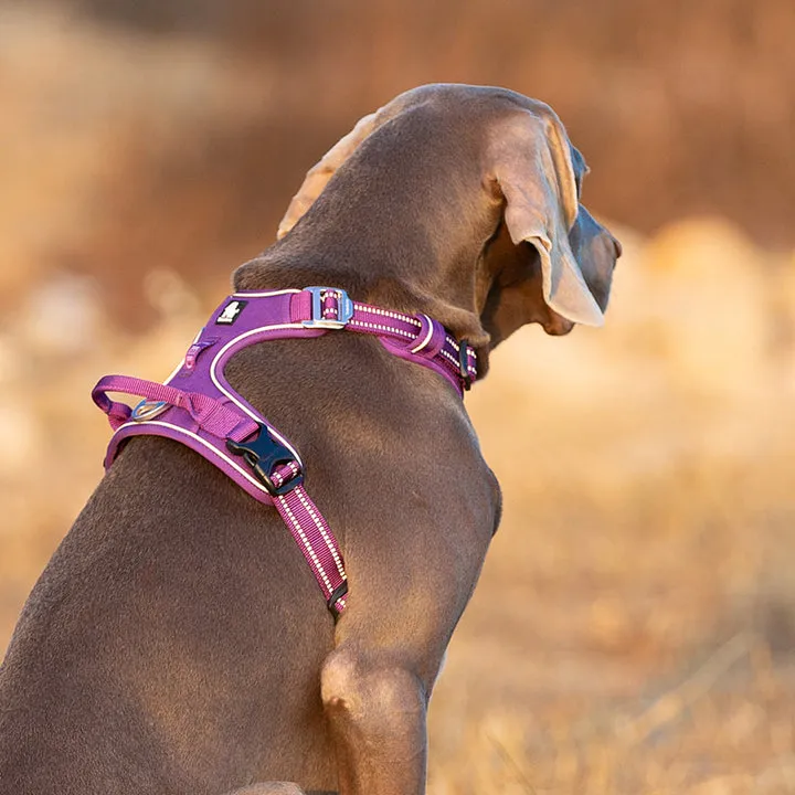 Breathable No-Pull Dog Harness Purple S, Reflective Nylon