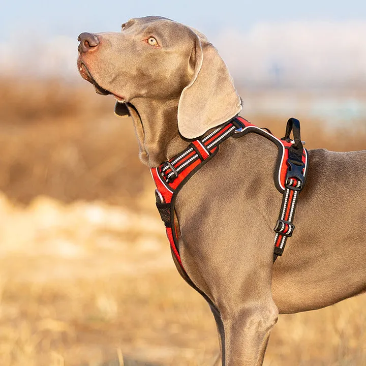Breathable Red No Pull Dog Harness with Reflectors M