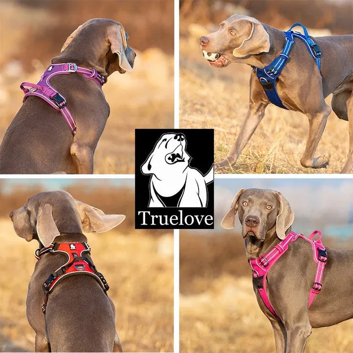 Grey No Pull Dog Harness XS, Reflective, Breathable